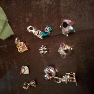Pandora Gold and Silver Charm Collection